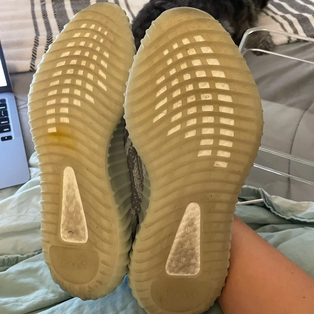 Authentic Yeezy - Picture 3 of 3